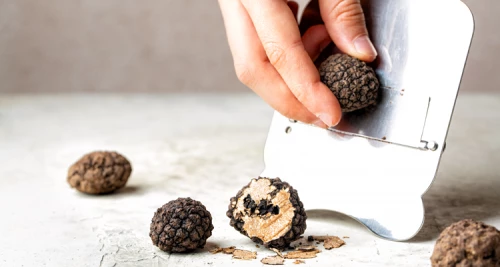 Schwarzer Diamant und weiße Königin – war...